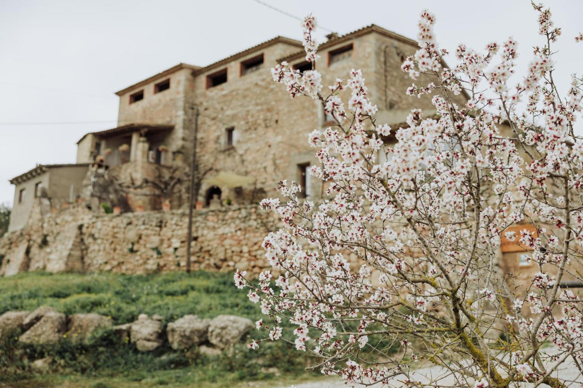Masia Aubareda San Martín de Tous Εξωτερικό φωτογραφία
